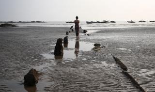 湛江吉兆湾 湛江吉兆湾