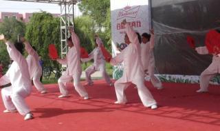 太极扇中国功夫 太极扇中国功夫