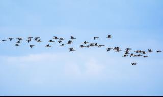 上海404是什么意思