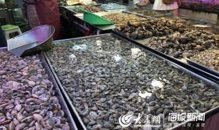 青岛螃蟹多少钱一斤