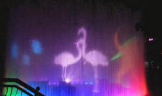 3d投影素材 3d投影素材