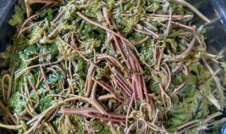 三种人不宜吃香椿