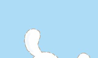 玉桂狗居然是男的 玉桂狗居然是男的