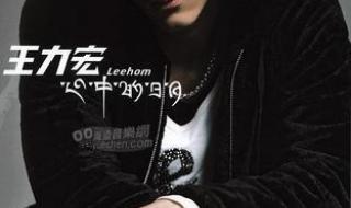 心中的日月王力宏