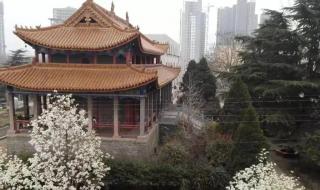 许昌县一高 许昌县一高