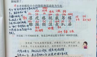 6年级语文书 6年级语文书