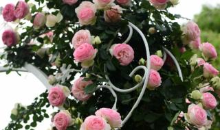 四季歌日语 四季歌日语