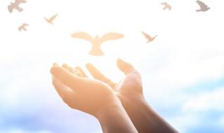 年轻女生不要过度共情 年轻女生不要过度共情