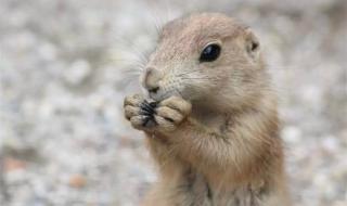 长沙海底世界在哪里 长沙海底世界在哪里