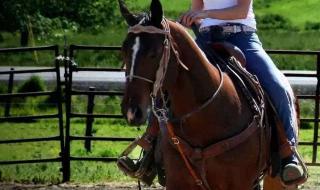 英雄联盟西部牛仔 英雄联盟西部牛仔