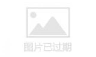 国际女装品牌有哪些