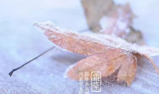 天气说变冷就变冷