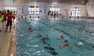 2022年游泳比赛报名