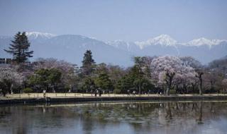 历届冬奥运会举办城市 历届冬奥运会举办城市