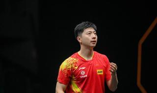 wtt乒乓球世界排名 wtt乒乓球世界排名