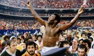 世界杯巴西战绩表 世界杯巴西战绩表