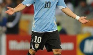 乌拉圭2010年世界杯 乌拉圭2010年世界杯